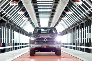 上市即爆款，長(zhǎng)城炮十月銷量突破5020臺(tái)領(lǐng)跑市場(chǎng)