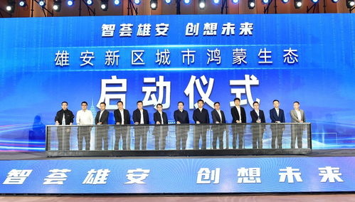 雄安新區舉辦2023軟件和信息技術服務業創新發展論壇，聚焦信息技術咨詢服務